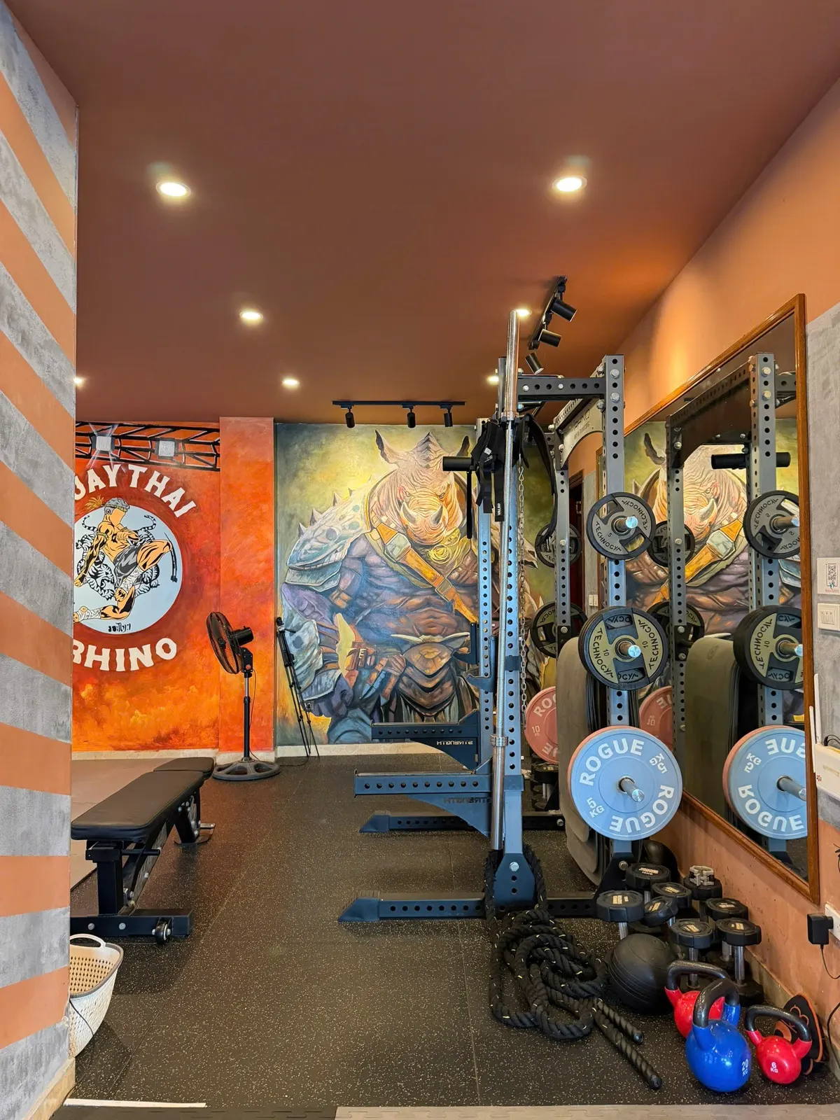 Khu vực tập tạ và thể lực tại Rhino Thai Boxing Gym